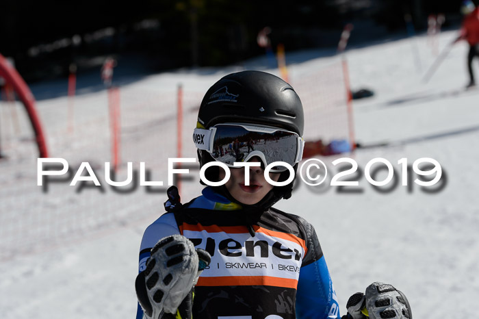 Ziener Cup WF,Finale, Quali + PSL, 30.03.2019