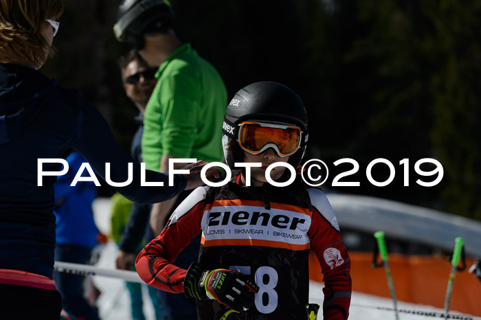 Ziener Cup WF,Finale, Quali + PSL, 30.03.2019