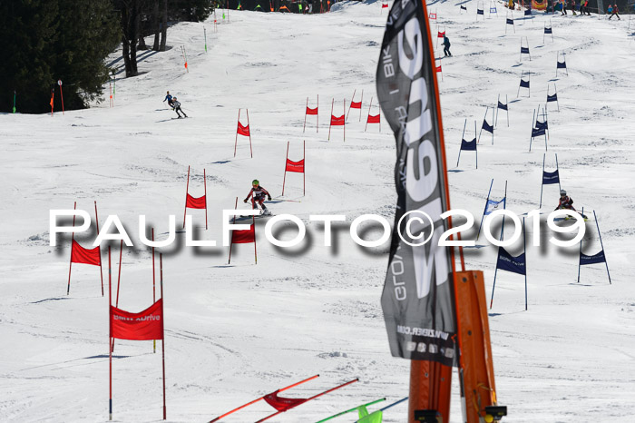 Ziener Cup WF,Finale, Quali + PSL, 30.03.2019