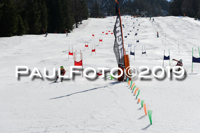 Ziener Cup WF,Finale, Quali + PSL, 30.03.2019