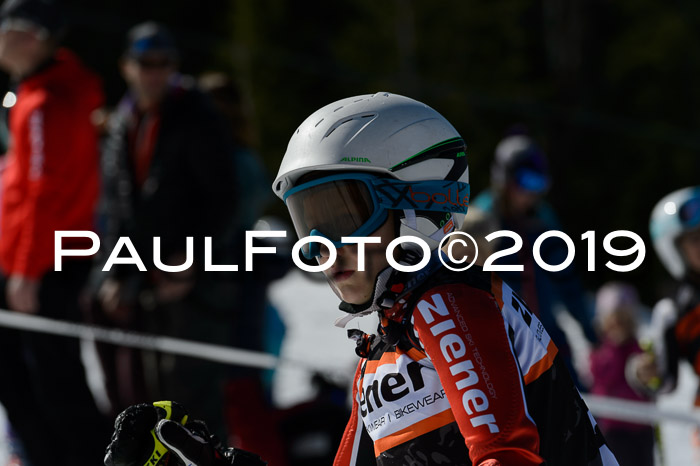 Ziener Cup WF,Finale, Quali + PSL, 30.03.2019