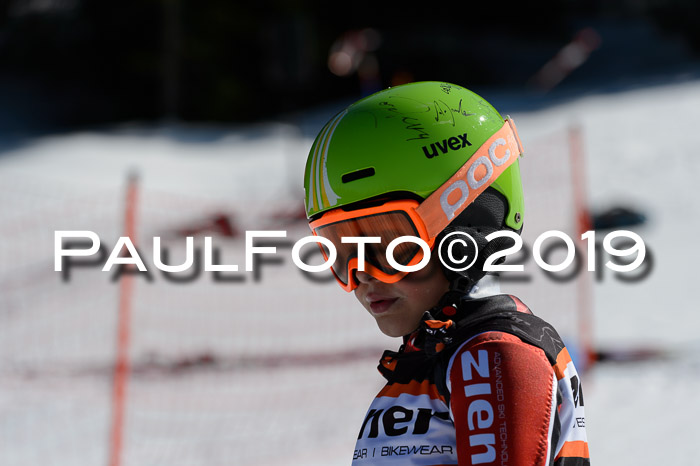 Ziener Cup WF,Finale, Quali + PSL, 30.03.2019