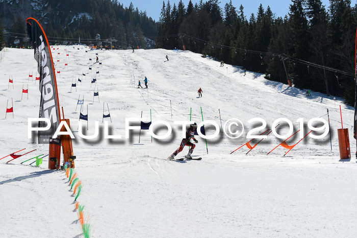 Ziener Cup WF,Finale, Quali + PSL, 30.03.2019