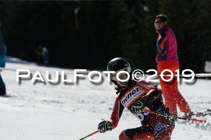 Ziener Cup WF,Finale, Quali + PSL, 30.03.2019