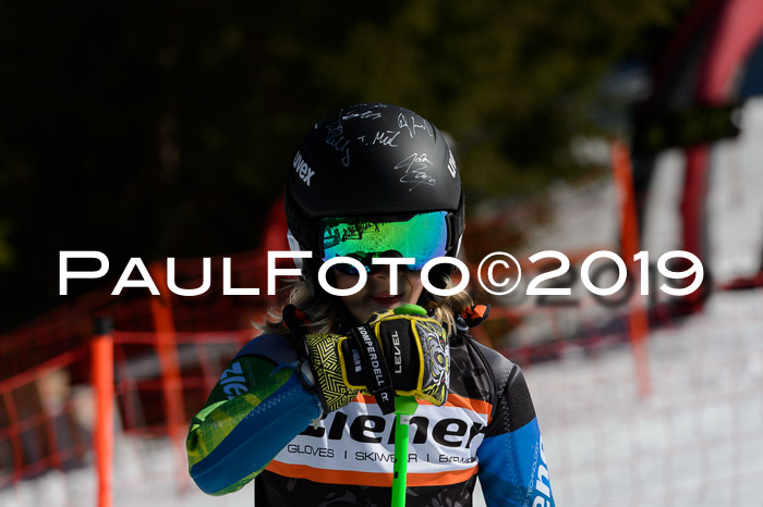 Ziener Cup WF,Finale, Quali + PSL, 30.03.2019