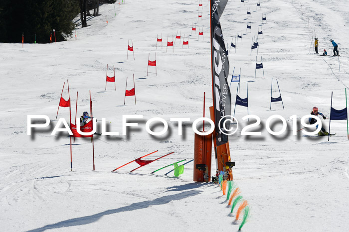 Ziener Cup WF,Finale, Quali + PSL, 30.03.2019