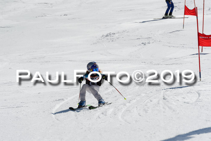 Ziener Cup WF,Finale, Quali + PSL, 30.03.2019