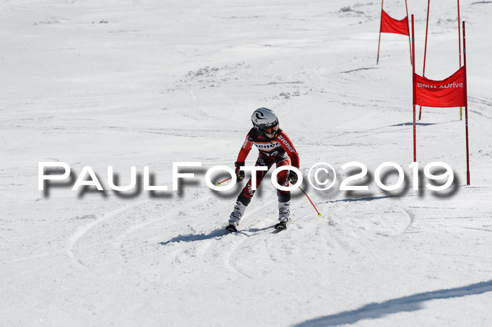 Ziener Cup WF,Finale, Quali + PSL, 30.03.2019