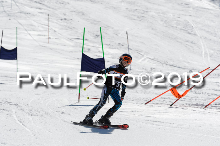 Ziener Cup WF,Finale, Quali + PSL, 30.03.2019