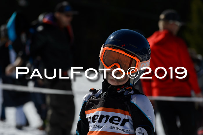 Ziener Cup WF,Finale, Quali + PSL, 30.03.2019