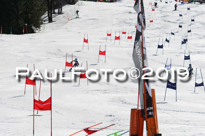 Ziener Cup WF,Finale, Quali + PSL, 30.03.2019