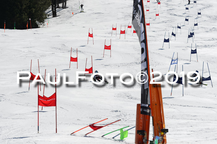 Ziener Cup WF,Finale, Quali + PSL, 30.03.2019