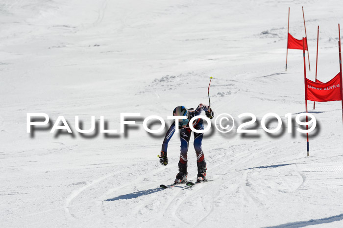 Ziener Cup WF,Finale, Quali + PSL, 30.03.2019