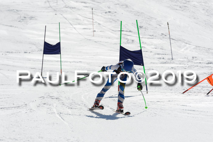 Ziener Cup WF,Finale, Quali + PSL, 30.03.2019