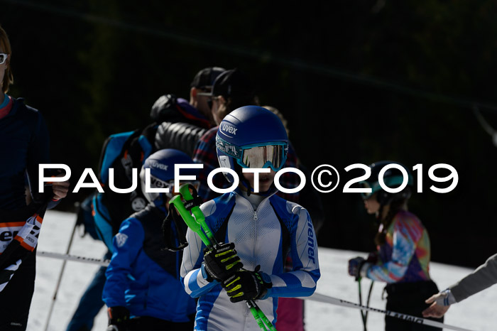 Ziener Cup WF,Finale, Quali + PSL, 30.03.2019