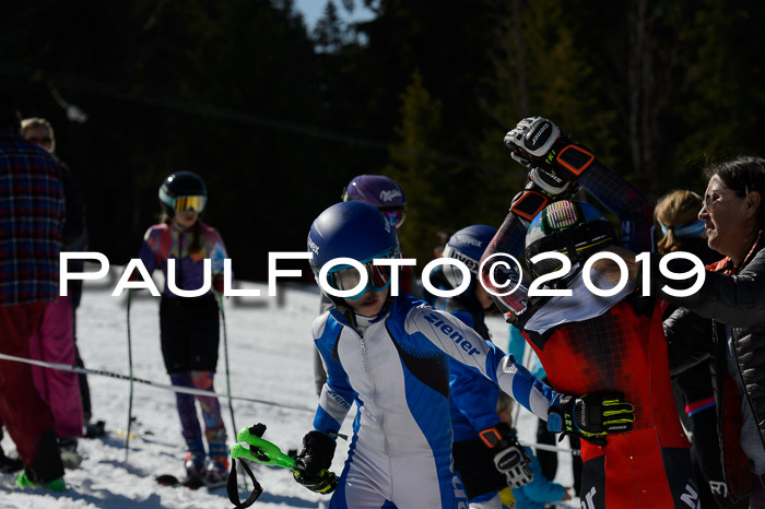 Ziener Cup WF,Finale, Quali + PSL, 30.03.2019