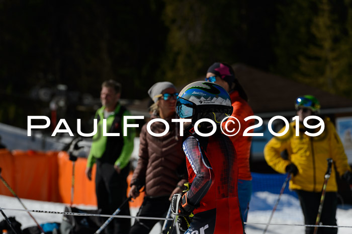 Ziener Cup WF,Finale, Quali + PSL, 30.03.2019