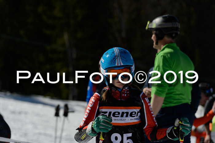 Ziener Cup WF,Finale, Quali + PSL, 30.03.2019