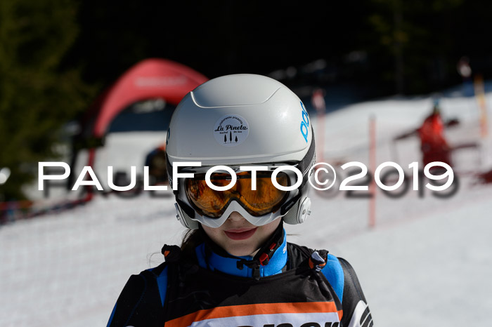 Ziener Cup WF,Finale, Quali + PSL, 30.03.2019