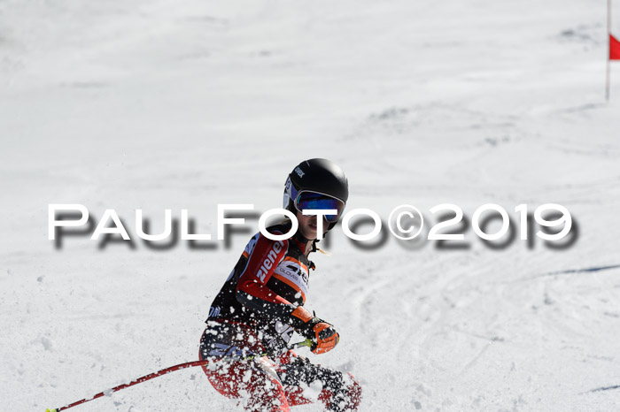 Ziener Cup WF,Finale, Quali + PSL, 30.03.2019
