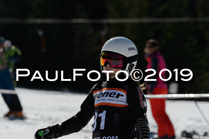 Ziener Cup WF,Finale, Quali + PSL, 30.03.2019