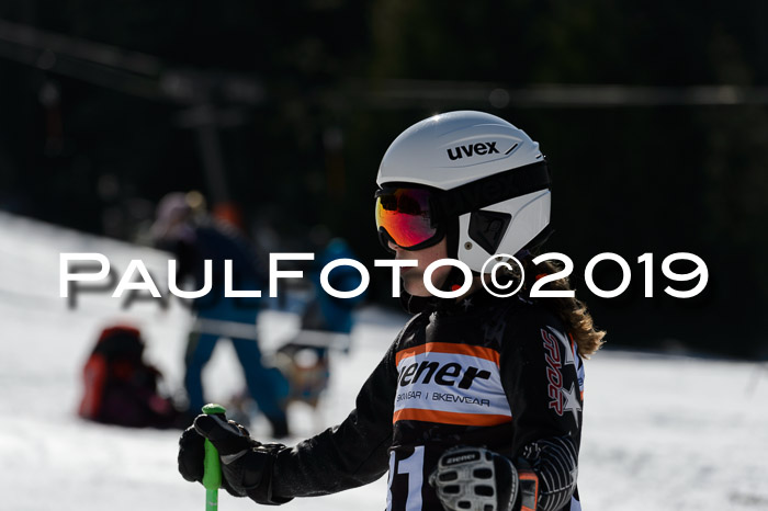 Ziener Cup WF,Finale, Quali + PSL, 30.03.2019