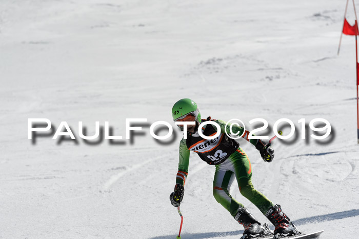 Ziener Cup WF,Finale, Quali + PSL, 30.03.2019