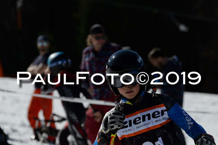 Ziener Cup WF,Finale, Quali + PSL, 30.03.2019