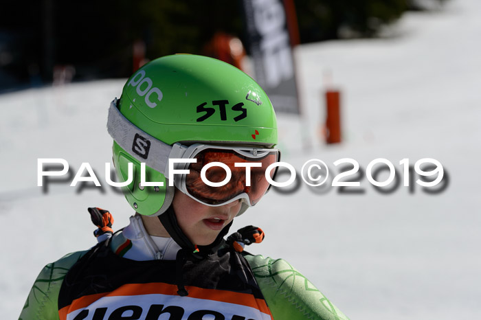 Ziener Cup WF,Finale, Quali + PSL, 30.03.2019