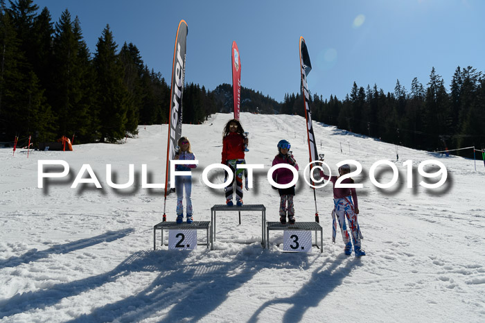 Ziener Cup WF,Finale, Quali + PSL, 30.03.2019