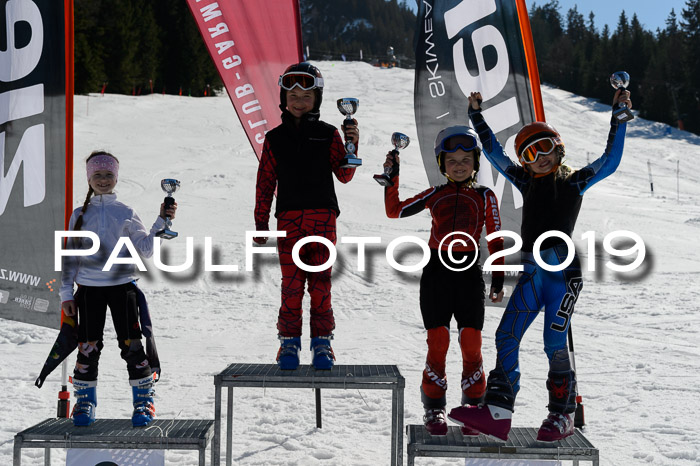 Ziener Cup WF,Finale, Quali + PSL, 30.03.2019