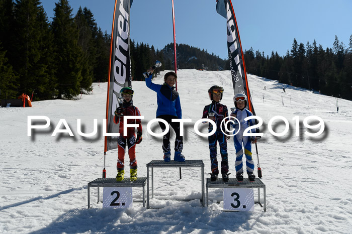 Ziener Cup WF,Finale, Quali + PSL, 30.03.2019