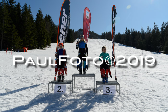 Ziener Cup WF,Finale, Quali + PSL, 30.03.2019