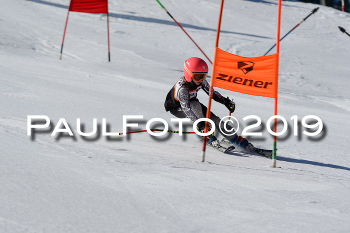 Ziener Cup WF,Finale, Quali + PSL, 30.03.2019