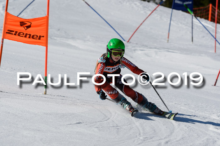 Ziener Cup WF,Finale, Quali + PSL, 30.03.2019