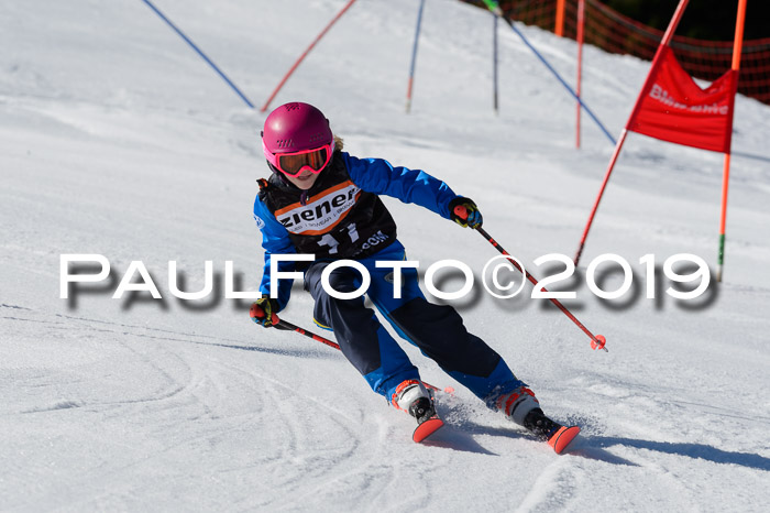 Ziener Cup WF,Finale, Quali + PSL, 30.03.2019