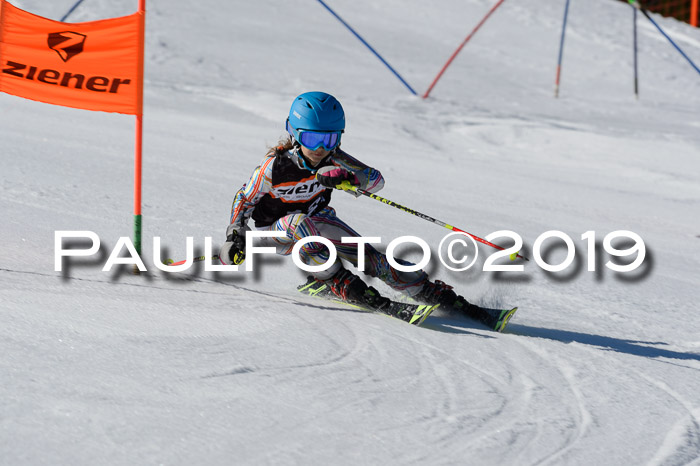 Ziener Cup WF,Finale, Quali + PSL, 30.03.2019