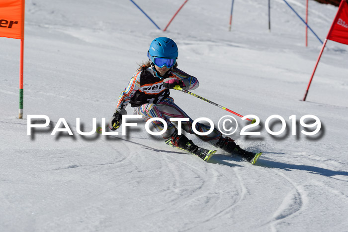 Ziener Cup WF,Finale, Quali + PSL, 30.03.2019