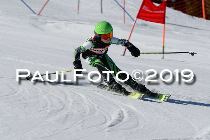 Ziener Cup WF,Finale, Quali + PSL, 30.03.2019