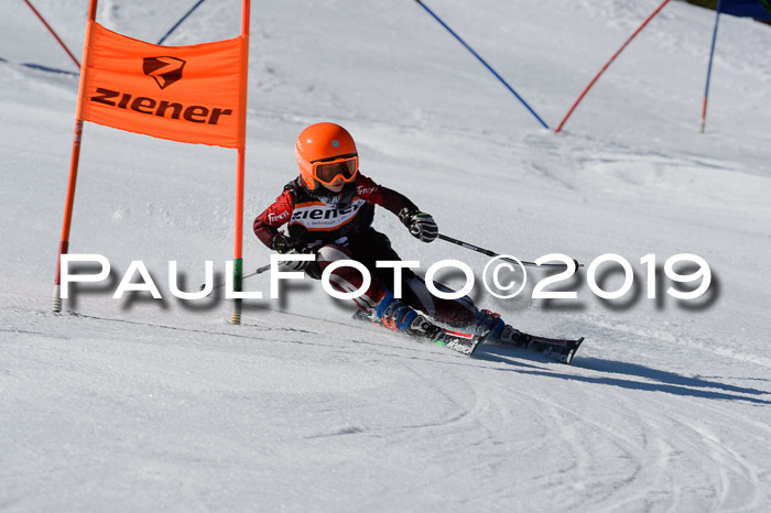 Ziener Cup WF,Finale, Quali + PSL, 30.03.2019