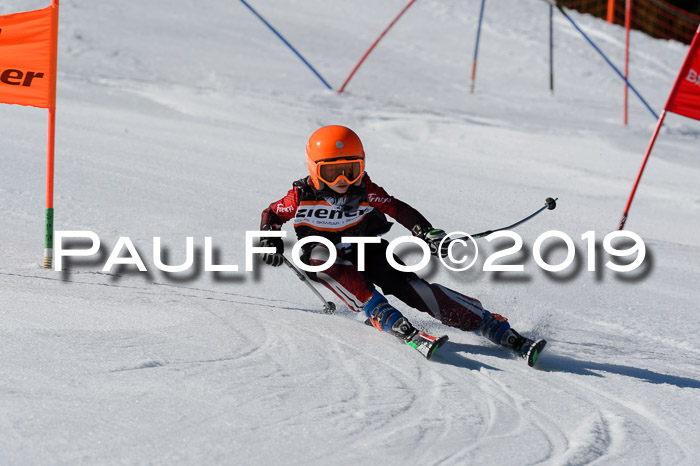 Ziener Cup WF,Finale, Quali + PSL, 30.03.2019