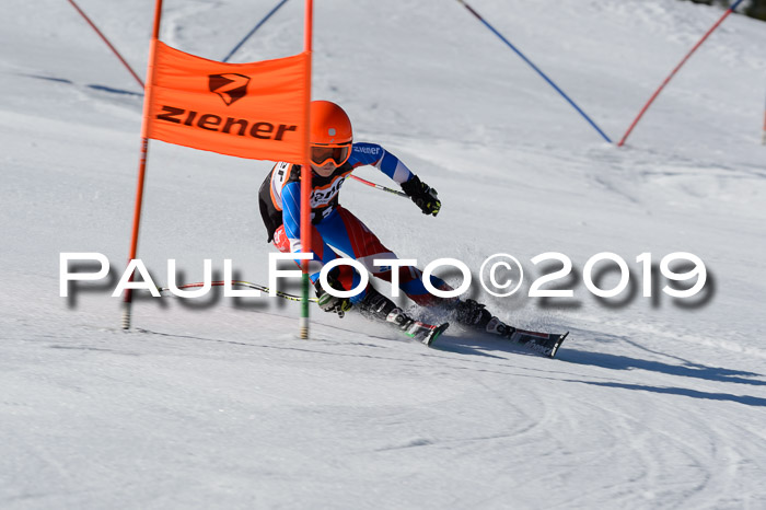 Ziener Cup WF,Finale, Quali + PSL, 30.03.2019