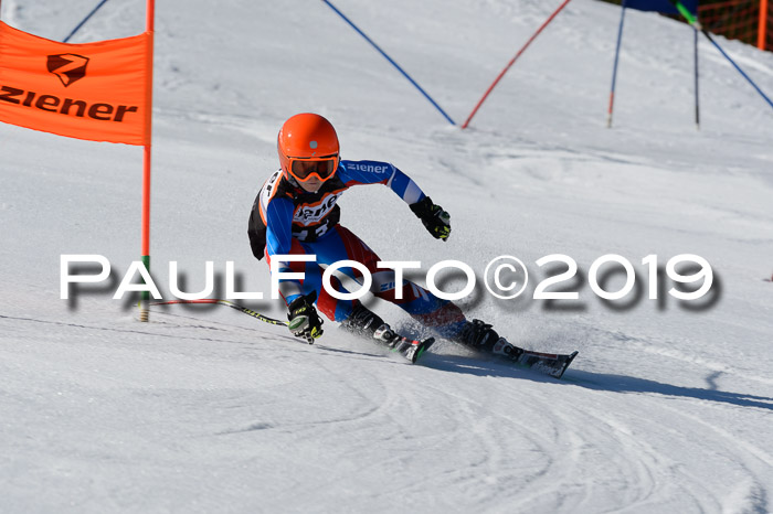 Ziener Cup WF,Finale, Quali + PSL, 30.03.2019