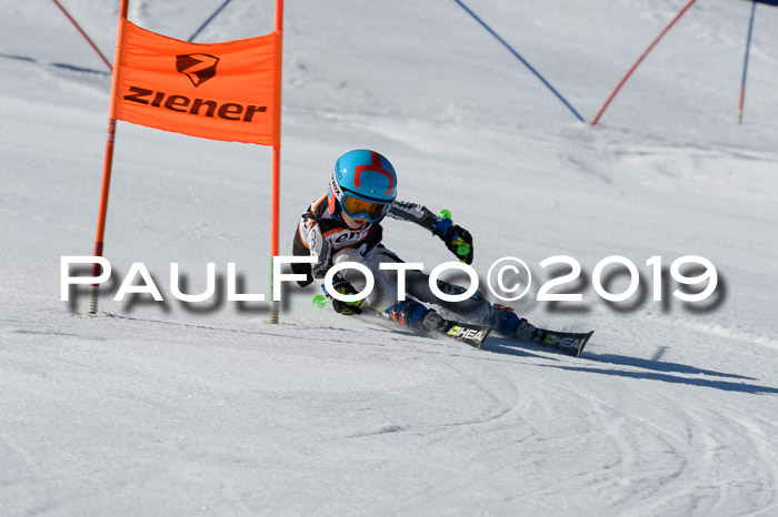 Ziener Cup WF,Finale, Quali + PSL, 30.03.2019