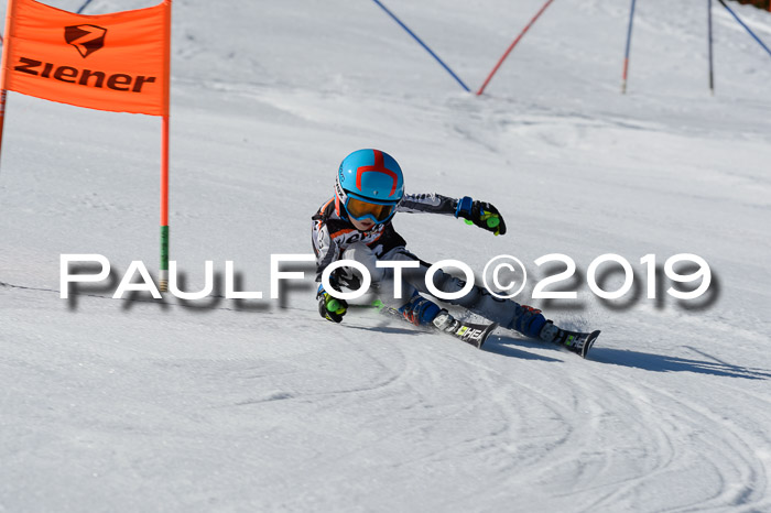 Ziener Cup WF,Finale, Quali + PSL, 30.03.2019