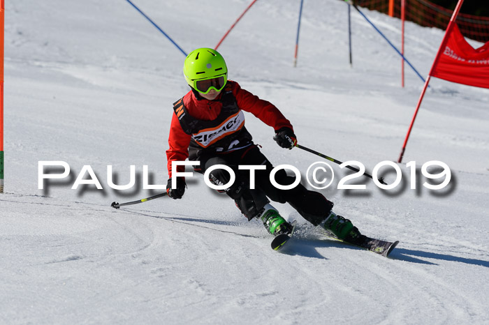 Ziener Cup WF,Finale, Quali + PSL, 30.03.2019