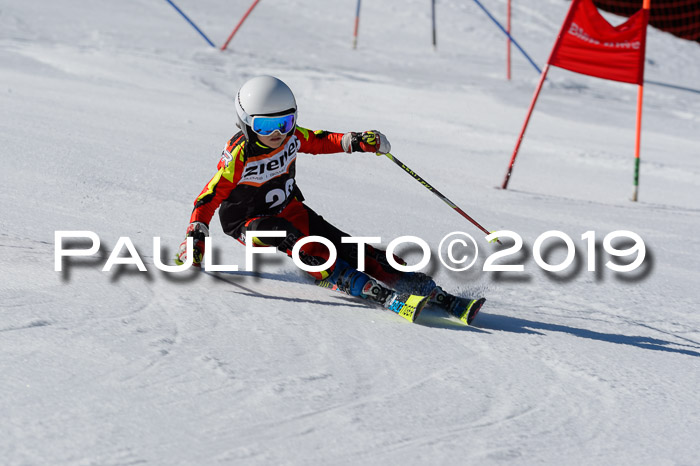 Ziener Cup WF,Finale, Quali + PSL, 30.03.2019
