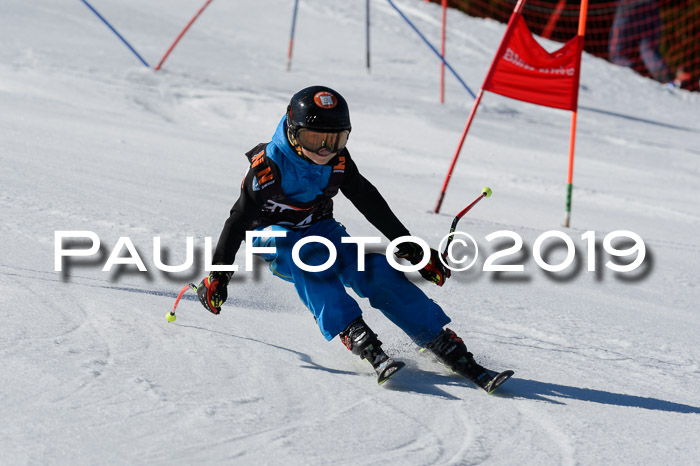 Ziener Cup WF,Finale, Quali + PSL, 30.03.2019
