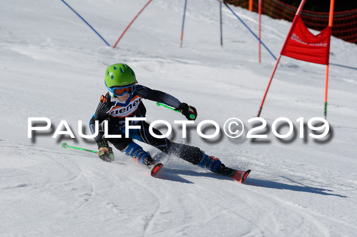 Ziener Cup WF,Finale, Quali + PSL, 30.03.2019