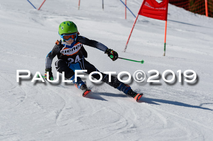 Ziener Cup WF,Finale, Quali + PSL, 30.03.2019